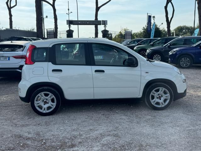 Fiat Panda Hybrid FireFly 1.0cc 70cv - foto 3 di 4