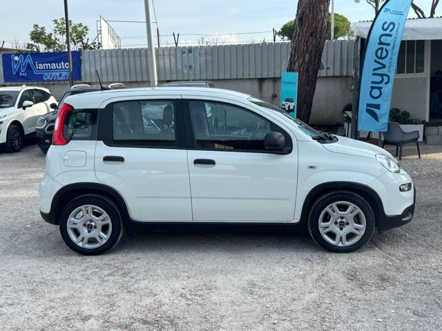 Fiat Panda Hybrid FireFly 1.0cc 70cv - foto 3 di 4