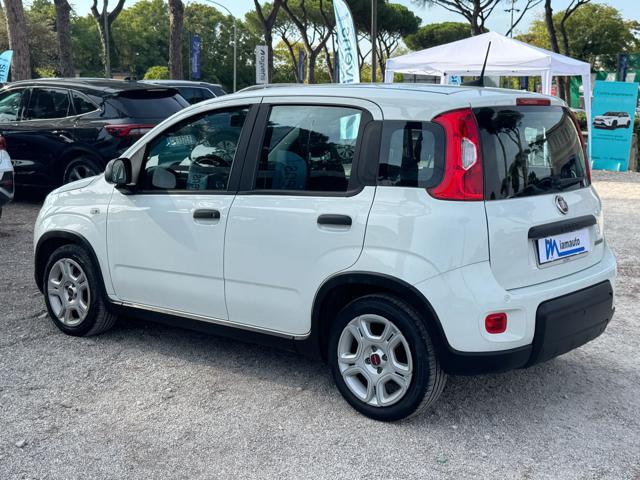 Fiat Panda Hybrid FireFly 1.0cc 70cv - foto 4 di 4