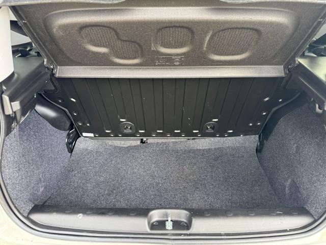 Fiat Panda PANDINA CROSS HYBRID 1.0cc 70cv usato a ROMA
