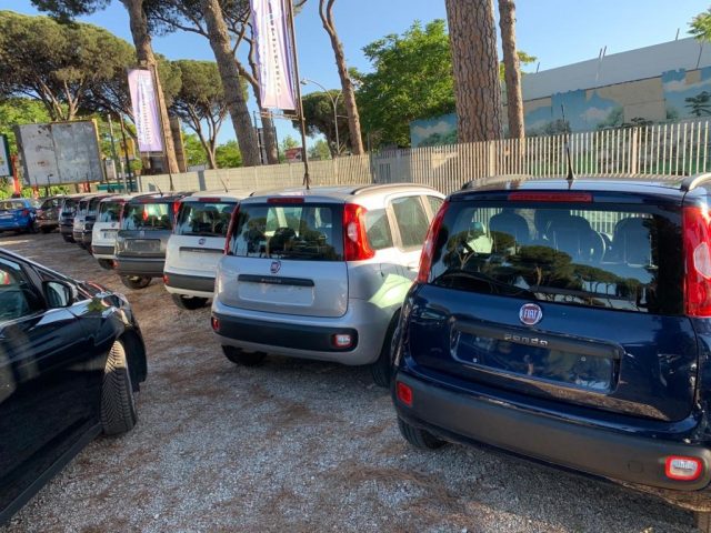 Fiat Panda 0.9 TwinAir Turbo Trekking CLIMATIZZATORE - foto 3 di 4