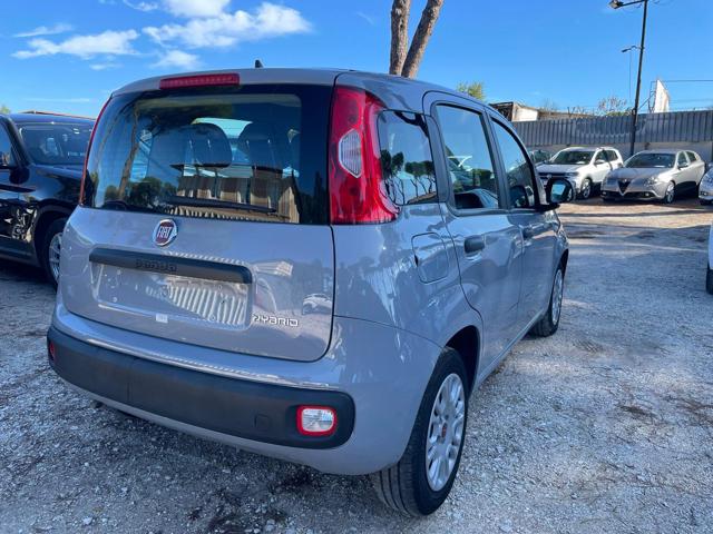 Fiat New Panda 1.0cc HYBRID 70cv GSE - foto 3 di 4