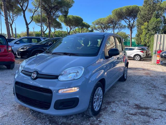 Fiat New Panda 1.0cc HYBRID 70cv GSE - foto 2 di 4