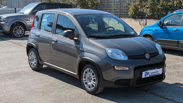Fiat Panda FireFly Hybrid 1.0cc 69cv - foto 3 di 4