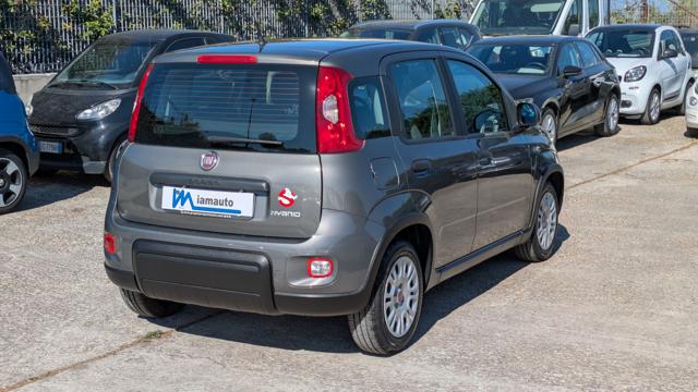 Fiat Panda FireFly Hybrid 1.0cc 69cv - foto 4 di 4