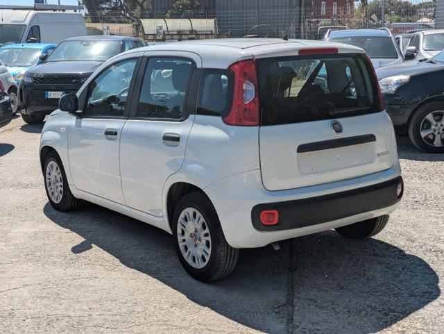 Fiat Panda HYBRID FIREFLY 1.0cc 70cv - foto 4 di 16