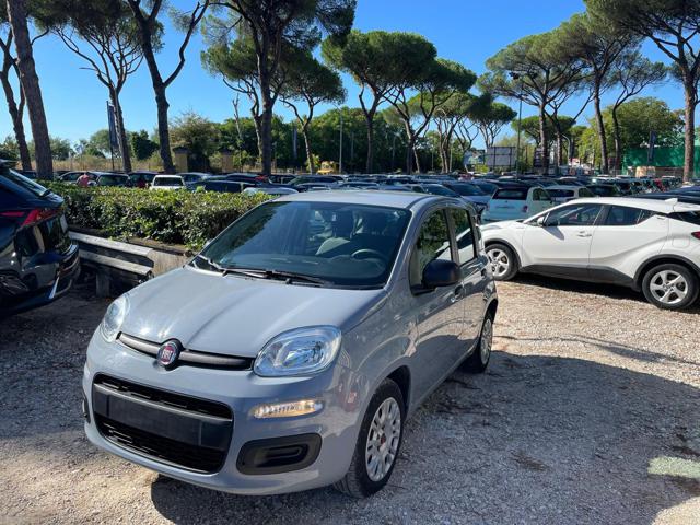 Fiat Panda 1.0cc HYBRID 70cv GSE usato a ROMA
