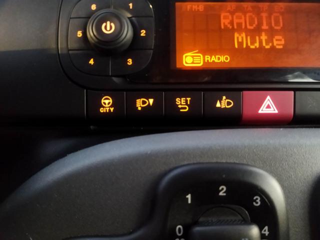 Fiat New Panda 1.0cc HYBRID CITYLIFE 70cv GSE, del 2022, 34.272 km, in vendita a Roma (RM)