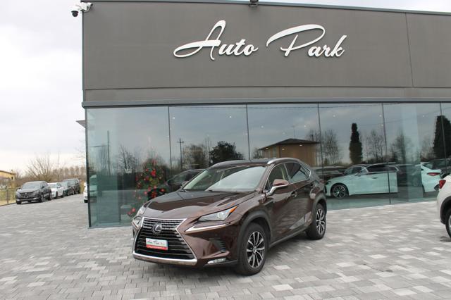 Lexus NX 300h Hybrid, del 2018, 90.900 km, in vendita a Trebaseleghe (PD)