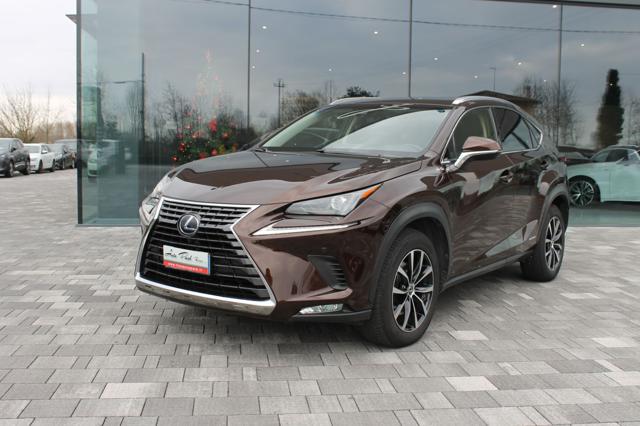 Lexus NX 300h Hybrid - foto 2 di 23