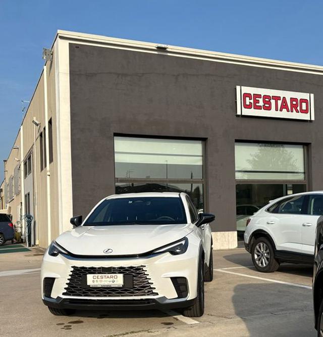 Lexus LBX Hybrid 4WD Relax - foto 2 di 4
