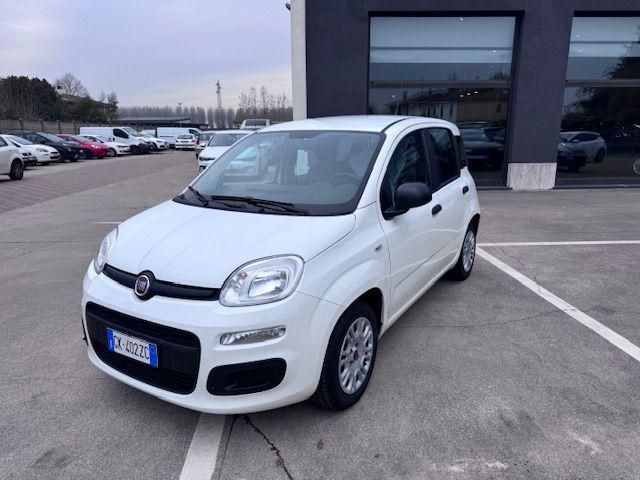 Fiat Panda 1.0 FireFly S&S Hybrid usato a ISOLA DELLA SCALA