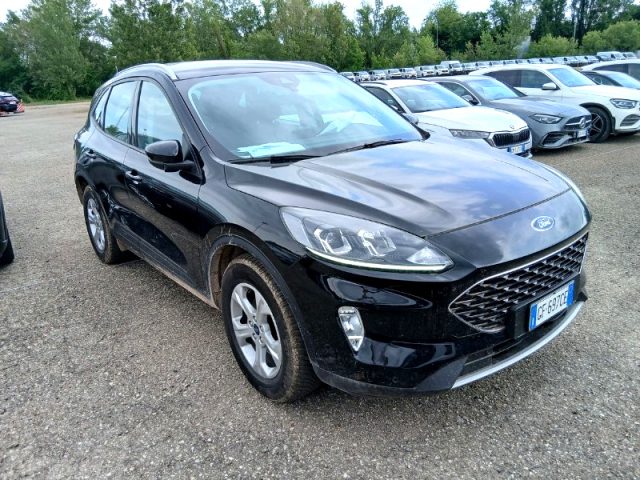 Ford Kuga 1.5 EcoBlue 120 CV 2WD Connect *IN ARRIVO* - foto 2 di 4