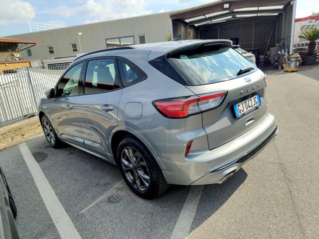 Ford Kuga 2.5 Full Hybrid 190 CV CVT 2WD ST-Line *IN ARRIVO* - foto 3 di 4