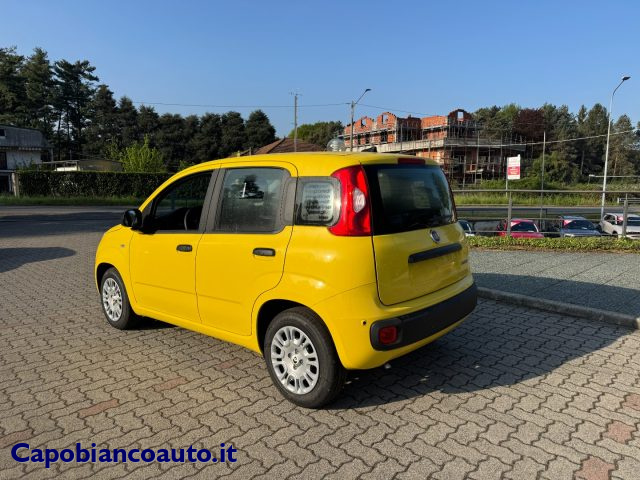 Fiat Panda 1.0 FireFly S&S Hybrid ICON+5posti KM0 PROMO - foto 3 di 4
