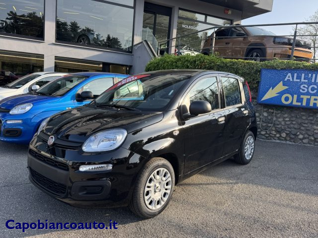 Fiat Panda 1.0 FireFly S&S Hybrid ICON KM0 PROMO km 0 a ARSAGO SEPRIO