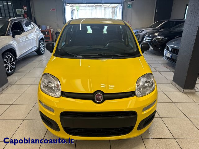 Fiat Panda 1.0 FireFly S&S Hybrid POP KM0 PROMO - foto 3 di 4