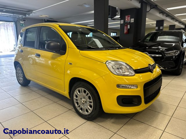 Fiat Panda 1.0 FireFly S&S Hybrid POP KM0 PROMO - foto 4 di 4