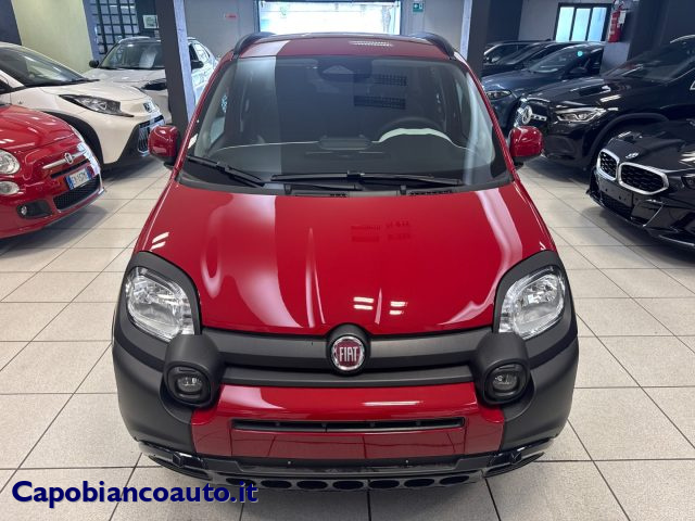 Fiat Panda Cross 1.0 FireFly S&S Hybrid KM0 PROMO - foto 3 di 4
