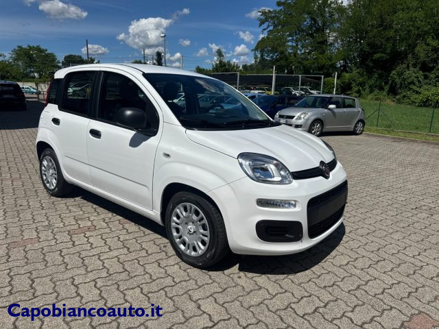 Fiat Panda 1.0 FireFly S&S Hybrid POP KM0 PROMO - foto 4 di 4