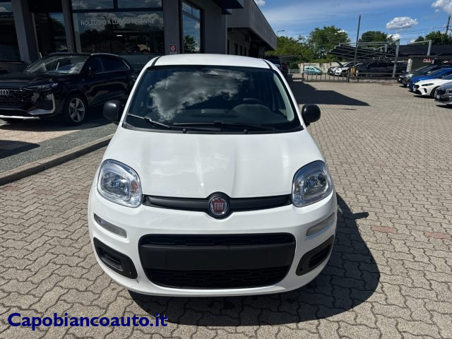 Fiat Panda 1.0 FireFly S&S Hybrid POP KM0 PROMO - foto 3 di 4