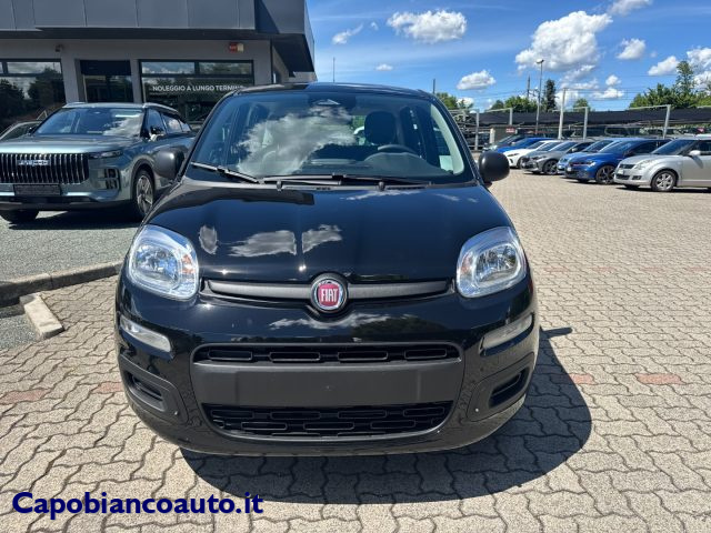 Fiat Panda 1.0 FireFly S&S Hybrid POP KM0 PROMO - foto 3 di 4