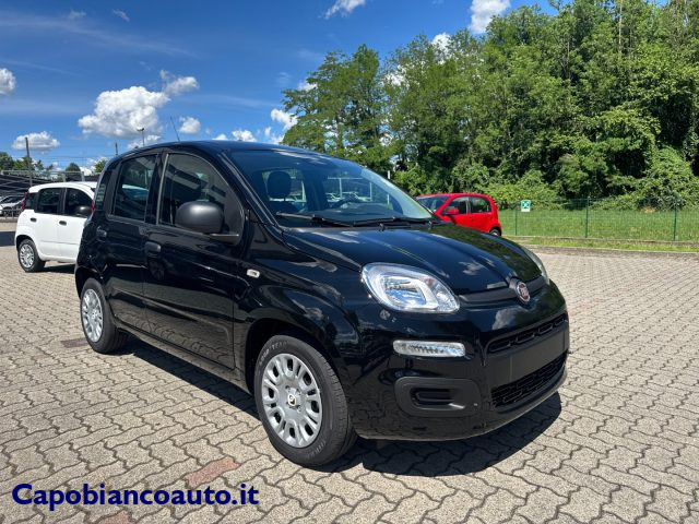 Fiat Panda 1.0 FireFly S&S Hybrid POP KM0 PROMO - foto 4 di 4