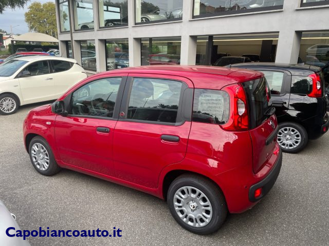 Fiat Panda 1.0 FireFly S&S Hybrid POP KM0 PROMO - foto 4 di 4