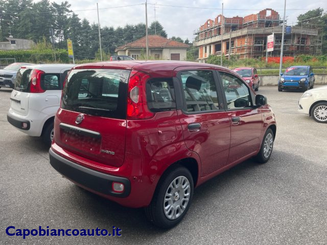 Fiat Panda 1.0 FireFly S&S Hybrid POP KM0 PROMO - foto 3 di 4