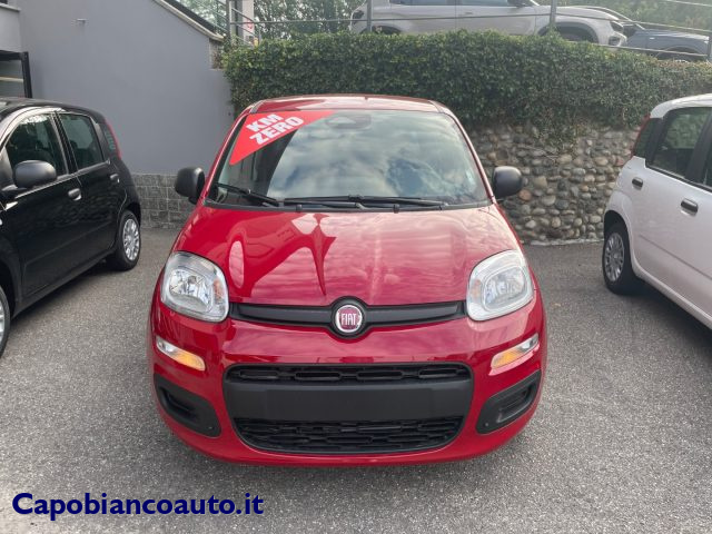 Fiat Panda 1.0 FireFly S&S Hybrid POP KM0 PROMO - foto 2 di 4