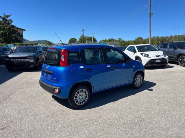 Fiat Panda 1.0 FireFly S&S Hybrid Pop - foto 4 di 4