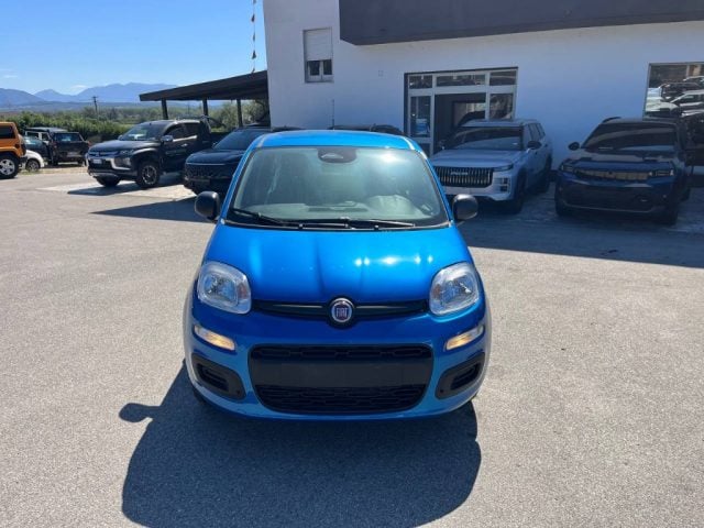 Fiat Panda 1.0 FireFly S&S Hybrid Pop, in vendita a Alife (CE)
