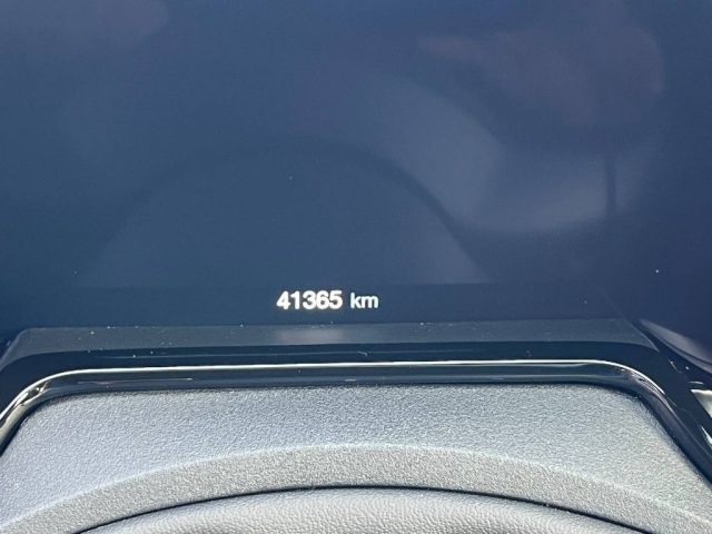 Alfa Romeo Tonale 1.6 diesel 130 CV TCT6 usato a ALIFE