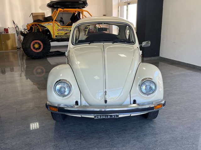 Volkswagen Maggiolino 1.2 usato a ALIFE
