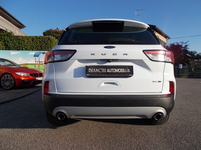 Ford Kuga EcoBlue Hybrid 150 CV 2WD Titanium gancio traino usato a SAN VENDEMIANO
