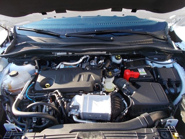Ford Kuga EcoBlue Diesel-Hybrid 150 CV 2WD Titanium gancio usato a SAN VENDEMIANO
