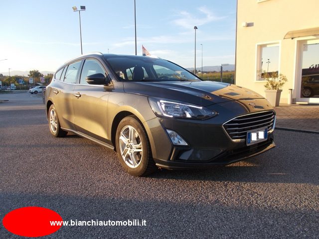 Ford Focus 1.5 EcoBlue 120 CV automatico SW Active Co-Pilot usato a SAN VENDEMIANO