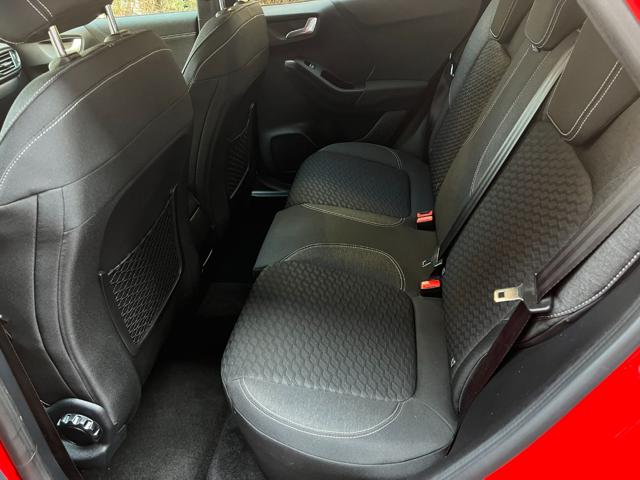 Ford Puma 1.0 EcoBoost 125 CV usato a GUALTIERI