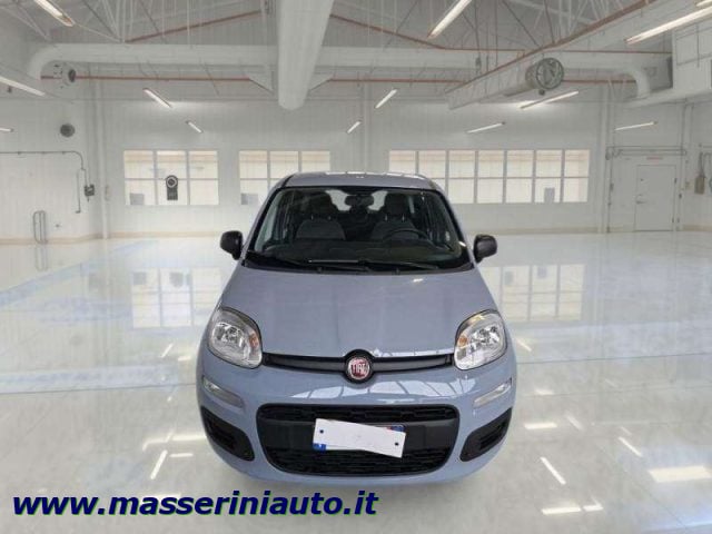 Fiat Panda Panda III 1.0 firefly hybrid s - foto 3 di 4