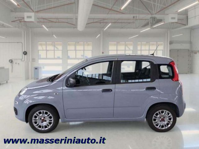 Fiat Panda Panda III 1.0 firefly hybrid s - foto 4 di 4