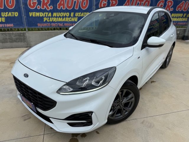 Ford Kuga 1.5 EcoBlue Automatica ST-Line GARANZIA usato a BIANCO