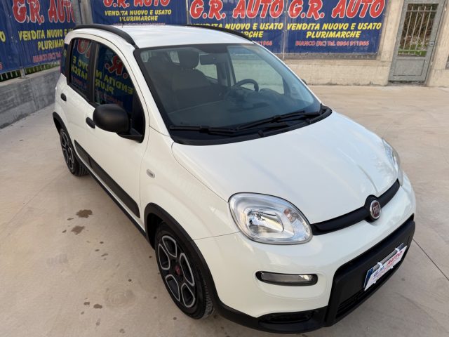 Fiat Panda Hybrid City Life AZIENDALE - foto 4 di 4
