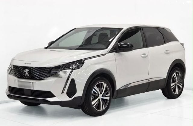 Peugeot 3008 2022 AUTOCARRO N1 IVA ESPOSTA, del 2022, 120.000 km, in vendita a Bianco (RC)