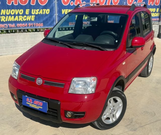 Fiat Panda 1.3 MJT 4x4 PERFETTE CONDIZIONI, del 2010, 183.000 km, in vendita a Bianco (RC)