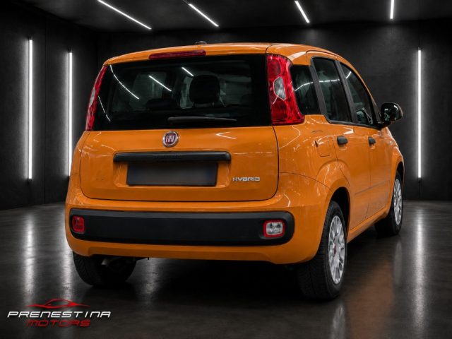 Fiat Panda 1.0 FireFly S&S Hybrid - foto 4 di 4
