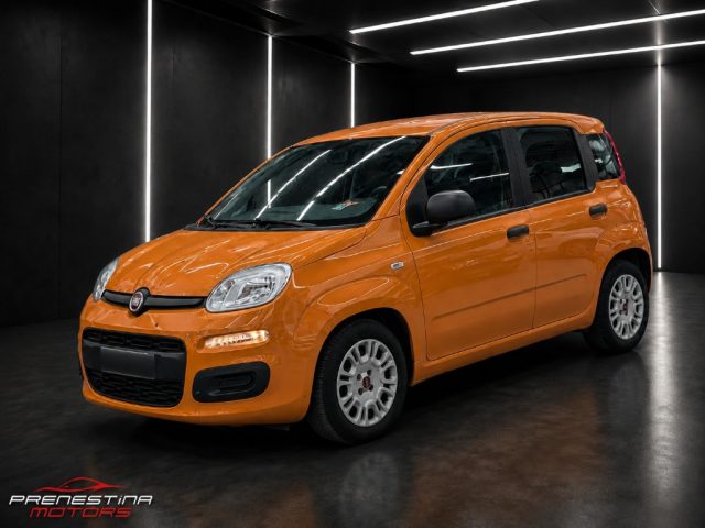 Fiat Panda 1.0 FireFly S&S Hybrid usato a ROMA