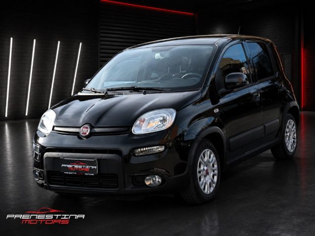Fiat Panda 1.0 FireFly S&S Hybrid usato a ROMA