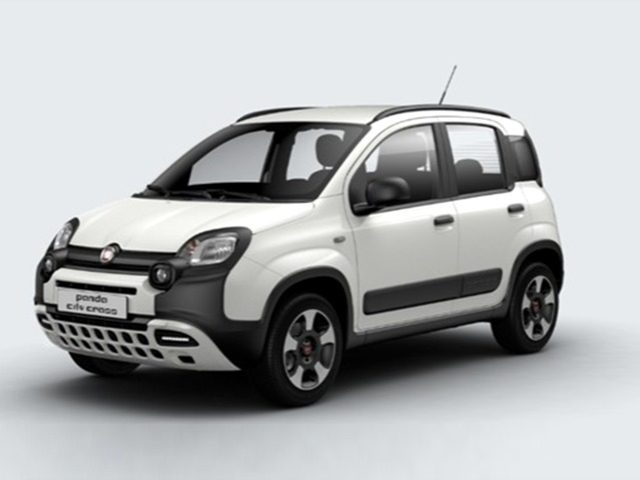 Fiat Panda 1.0 FireFly S&S Hybrid City Cross usato a ROMA