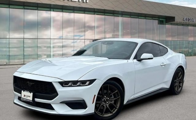 Ford Mustang Fastback 2.3 EcoBoost usato a POMEZIA