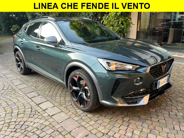 CUPRA Formentor 2.0 TSI 4Drive DSG - foto 4 di 4